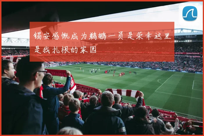 锡安感慨成为鹈鹕一员是荣幸这里是我扎根的家园